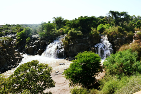 Von Addis Abeba: Tagestour zum Awash-Nationalpark