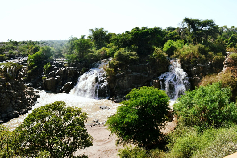 Von Addis Abeba: Tagestour zum Awash-Nationalpark