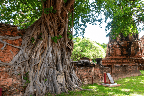 Bangkok: Ayutthaya UNESCO World Heritage Day Trip by Train