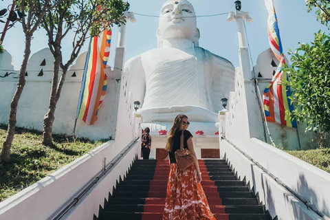 Colombo: Pinnawala Orphanage, Kandy Temple of Tooth day trip