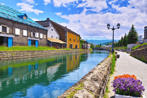 هوكايدو، سابرو، أوتارو، وكيب كاموي | جولة ليوم واحد