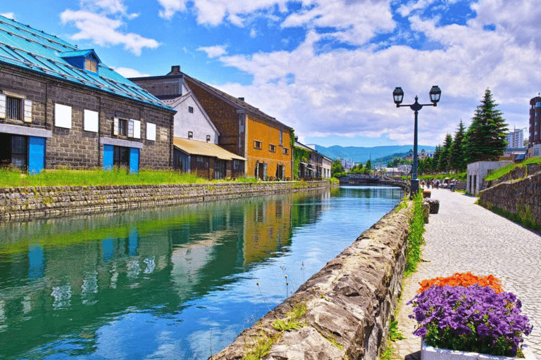 هوكايدو، سابرو، أوتارو، وكيب كاموي | جولة ليوم واحد