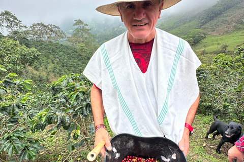From Medellín: Coffee Farm Hiking & Exotic Fruit Marketplace
