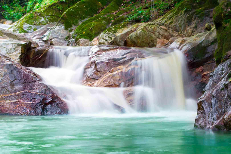 Tournée du café et du cacao à Minca !
