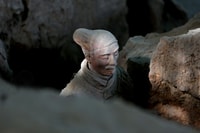 Xi'an, Terra Cotta Warriors 5-uur wandeltournee - Housity