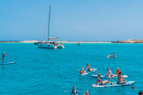Ibiza: Formentera hele dag VIP catamaran cruisePremiumticket