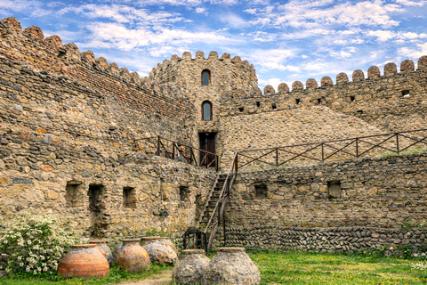 Tbilisi - Mtskheta Tour: History, Views, Wine & Boat Ride