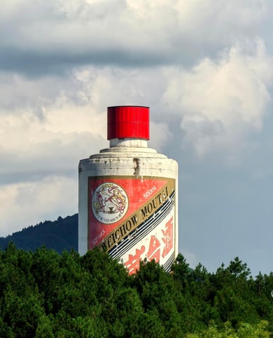 From Guiyang/Zunyi: Moutai Town Experience with Transfers