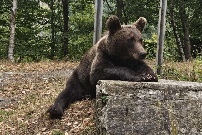 Transylvania: 2-Day Castles, Brasov & Transfagarasan