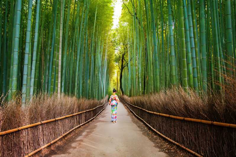 Arashiyama Kyoto Bamboo Forest, Monkey Park & Kimono Forest