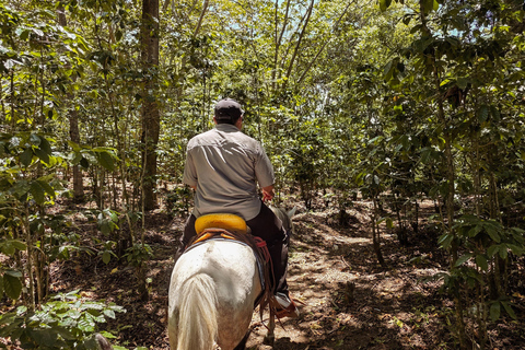 San Juan La Laguna: Horseback Riding in Coffee Plantations