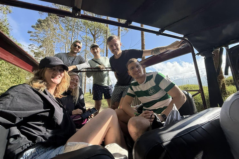 La Carbonera Adventure: Hiking & Horseback Riding in the Andean Palm Forest Salento: Tour to La Carbonera and the wax palm forest