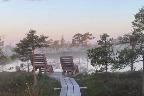 Au départ de Riga : excursion au parc national de Kemeri et à Jurmala