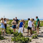 Santorini: tour del vino al tramonto per piccoli gruppi con la cantina Santo