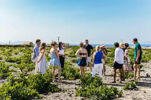 Santorini: Small-Group Sunset Wine Tour with Santo Winery