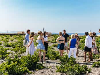 Santorini: Sunset Wine Tour med liten grupp med Santo Winery
