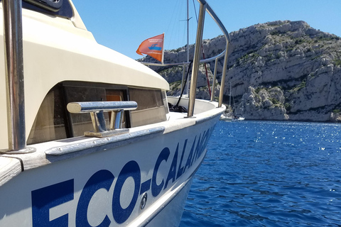 Marseille: Calanques Eco Boat Cruise with Lunch and Wine From Marseille: Calanques National Park Eco Boat Cruise