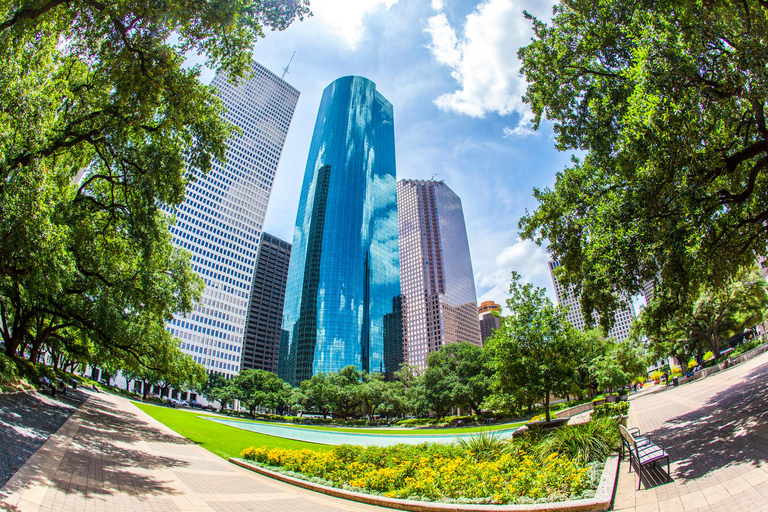 Houston Highlights: Culture, Science & Art Tour