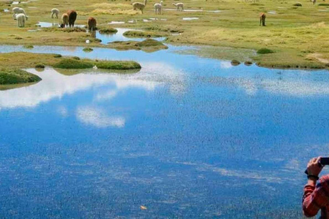 Von Arequipa - Ausflug zu den Pillones-Wasserfällen | Ganzer Tag