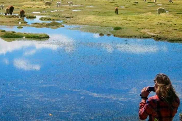 Da Arequipa - Escursione alle cascate di Pillones | Giornata intera