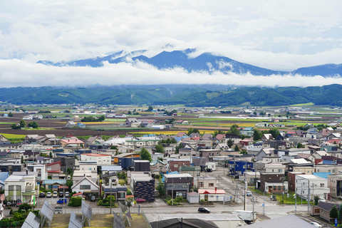 Excursión a Furano y Biei: Descubriendo los Vibrantes Campos de Hokkaido