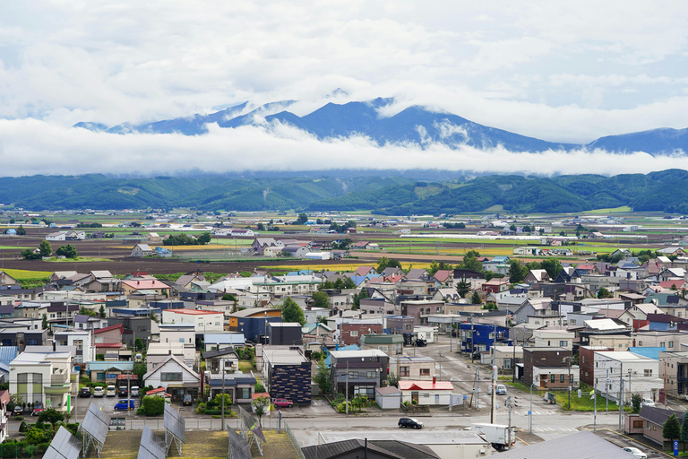 Wycieczka do Furano i Biei: Odkryj tętniące życiem pola HokkaidoWycieczka Furano i Biei: Odkryj tętniące życiem pola Hokkaido