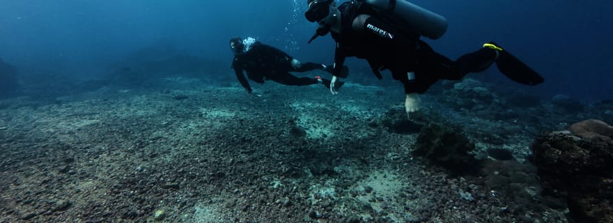 Plongée sous-marine / snorkeling Nusa Penida avec raies manta