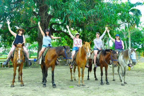 Punta Cana: Safari in camion di mezza giornata con pranzo a buffet