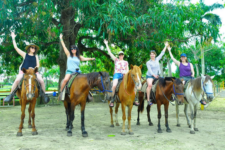 Punta Cana: Safari in camion di mezza giornata con pranzo a buffet