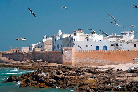 Au départ de Marrakech : excursion d&#039;une journée en petit groupe à Essaouira et SekkalaAu départ de Marrakech : Excursion à Essaouira en petit groupe