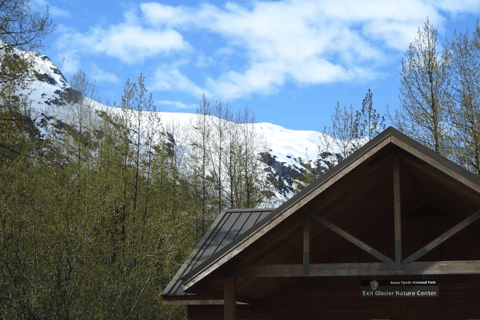 Seward: Exit Glacier Nature Hike with Scenic Views