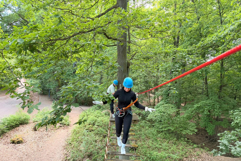 Kelkheim: Outdoor climbing experience in the forest ropes course with circuit and zip lines