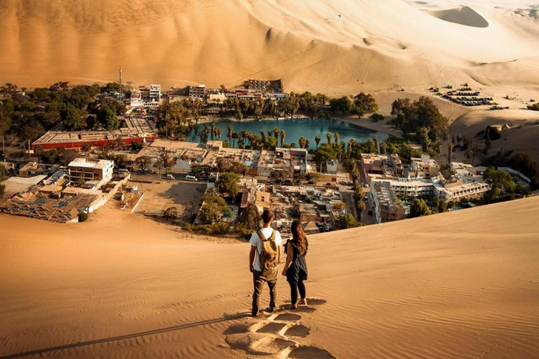 Depuis Lima : excursion à Paracas et à l&#039;oasis de Huacachina
