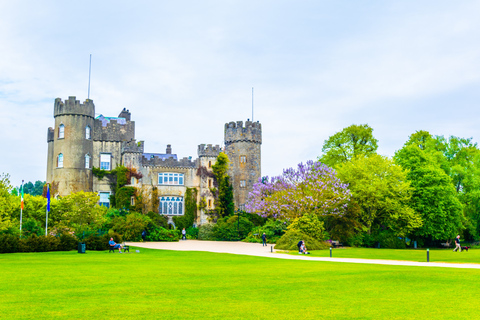 Dublin to Malahide Castle & Gardens Half-Day Trip by Car 4,5-hour: Malahide Castle & Gardens with Licensed Guide