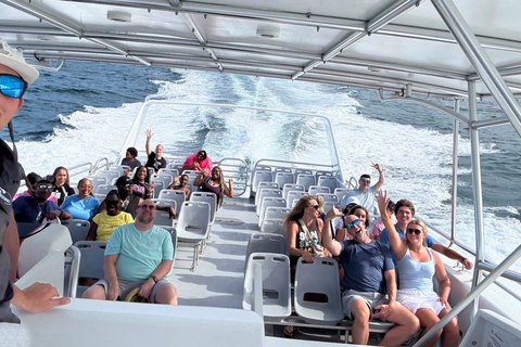 Fort Lauderdale: Air Show Cruise with Live Commentary