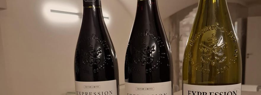 Visite « Expression » : visite et dégustation de vins.