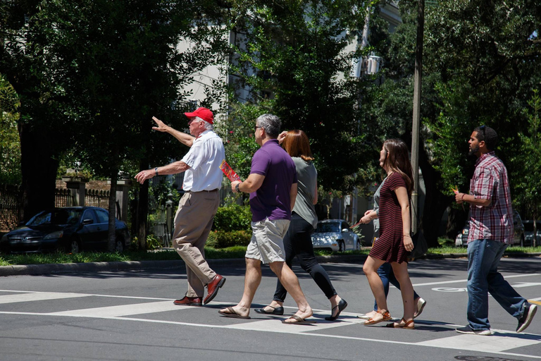 Nova Orleans: 2 e 3 dias de ônibus hop-on hop-off com tour de ônibus hop-on hop-off e excursão a péBilhete de 3 dias