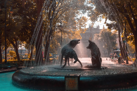 Mexico-Stad: Coyoacán en Xochimilco