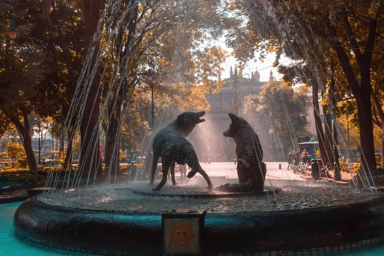 Mexico-Stad: Coyoacán en Xochimilco