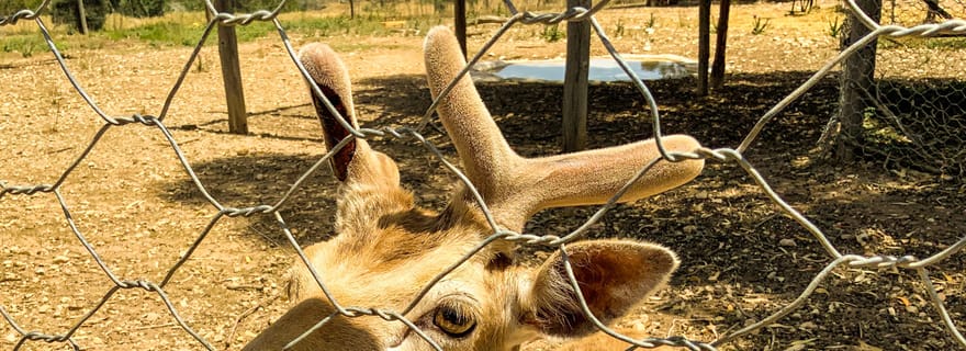 Tunisie : Forfait familial au parc de Friguia