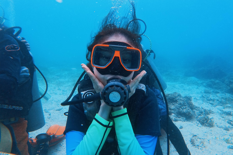 Cebu: Discover Scuba Diving Experience with Hotel Pickup