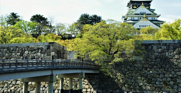 From Osaka/Kyoto: Osaka Highlights Private Day Trip