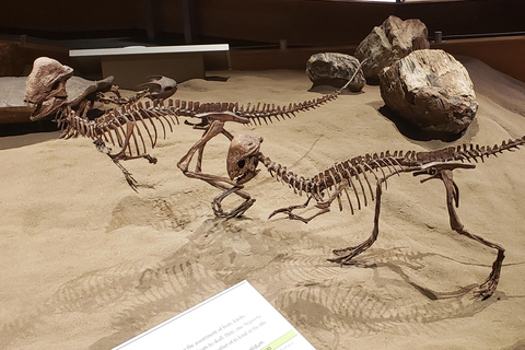 1 Day Drumheller Tour: Calgary to Hoodoos Dinosaurs Badlands 1 Day Private Customizable Drumheller Tour: Calgary Badlands