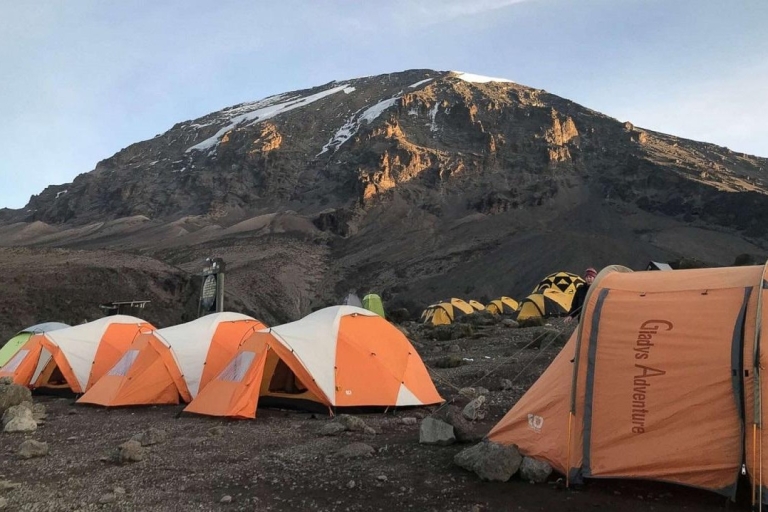 Excursión de un día al Parque Nacional del Monte Kilimanjaro