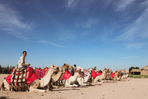 Hurghada: Camel Ride & horse ride and Off-Road Jeep Tour pickup from hotels inside hurghada