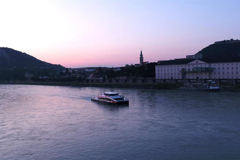 Excursion hivernale d'une journée : de Vienne à Bratislava en bus et en bateauVisite en anglais