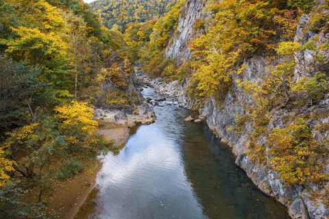 1-dniowa wycieczka do Sapporo z gorącymi źródłami nad jeziorem ToyakoOdbiór przy północnym wyjściu ze stacji Sapporo