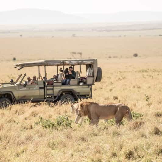 3 Days 2 Nights Maasai Mara National Reserve Joining Tour | GetYourGuide