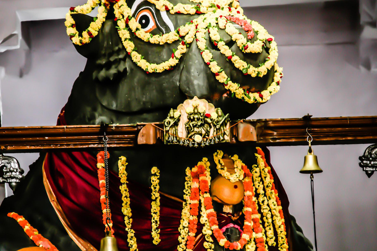 Basavanagudi: Ein spiritueller Pfad