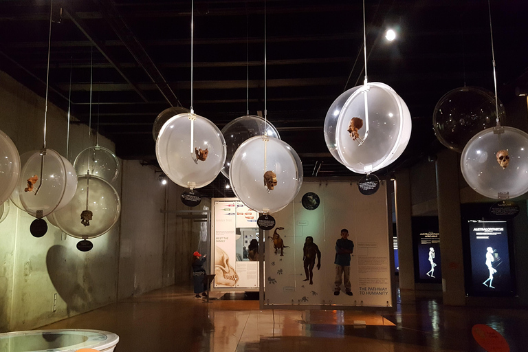 Johannesburg: Cradle of Humankind World Heritage Site TourJohannesburg: Werelderfgoedtour &#039;Cradle of Humankind&#039;
